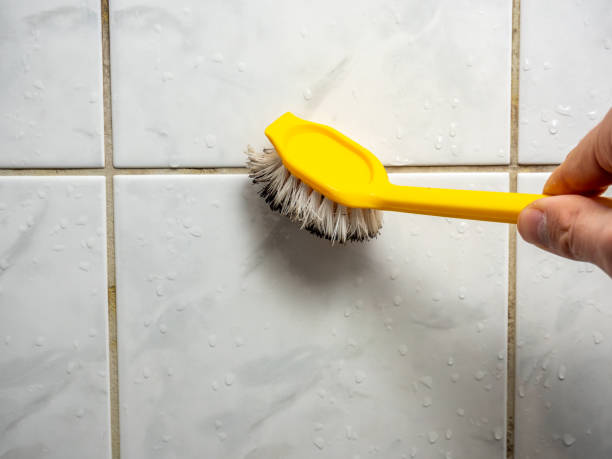 Best Mold Damage Repair  in Russellville, KY